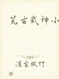 荒古武神小说