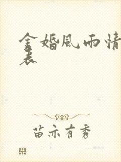 金婚风雨情演员表封面