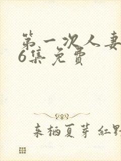 第一次人妻1～6集免费