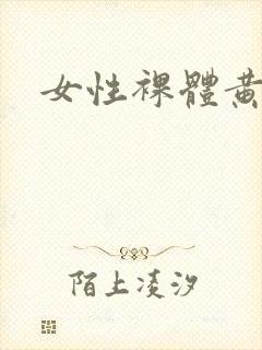 女性裸体黄图封面