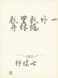 戏里戏外一叶孤舟林栀封面