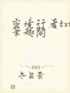 灵境行者txt笔趣阁