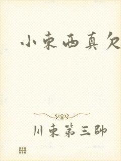 小东西真欠弄封面