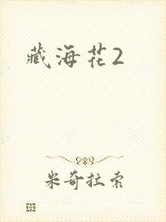 藏海花2封面