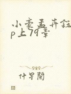 小豪孟卉钰慧三p上79章