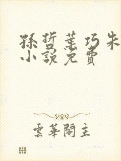 孙哲叶巧朱颜的小说免费