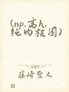 (np,高h,纯肉校园)封面
