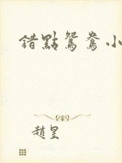 错点鸳鸯小说