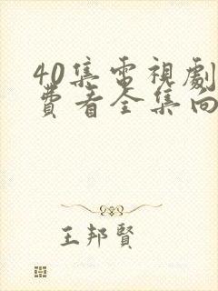 40集电视剧免费看全集向风