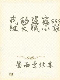 我的盗窃sss级天赋小说