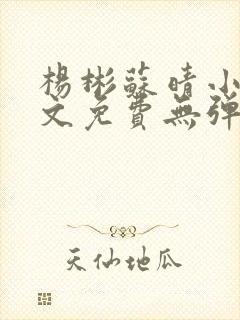 杨彬苏晴小说全文免费无弹窗阅读