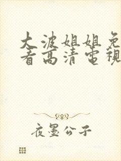 大波姐姐免费观看高清电视剧韩剧一共多少集