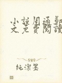 小说周通郑燕全文免费阅读无弹窗