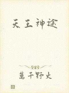 天王神途