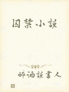 囚禁小说