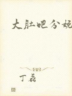 大肚吧分娩小说
