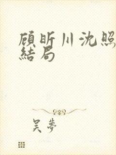 顾昕川沈照微大结局封面