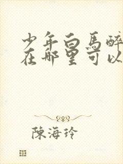 少年白马醉春风在哪里可以免费看