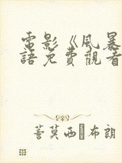 电影《风暴》国语免费观看