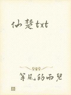 仙楚txt封面