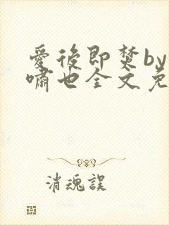 爱后即焚by林啸也全文免费阅读笔趣阁