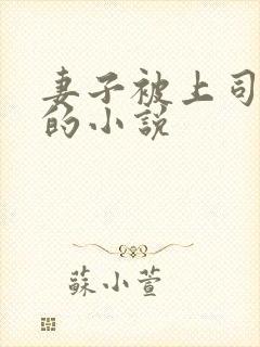 妻子被上司中出的小说