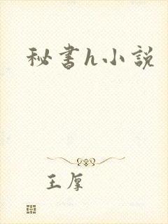 秘书h小说