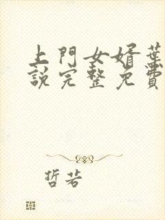 上门女婿叶辰小说完整免费