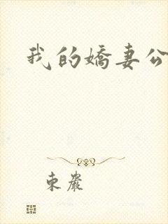 我的娇妻公务员