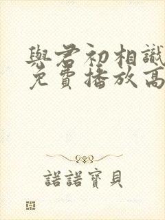 与君初相识全集免费播放高清封面