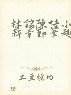 林铭陈佳小说最新章节笔趣阁封面