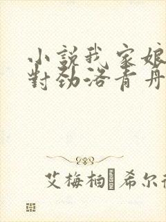 小说我家娘子不对劲洛青舟最新章节阅续