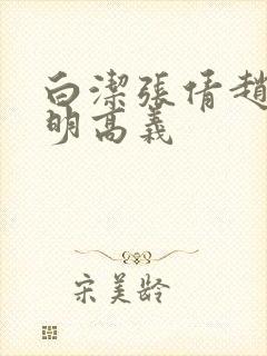 白洁张倩赵敏李明高义封面