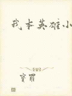 我本英雄小说封面