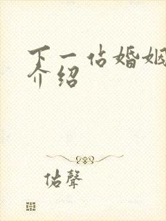 下一站婚姻剧情介绍