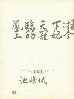 凤临天下:摄政王的宠妃全文免费阅读封面