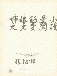 婶娘的爱小说全文免费阅读