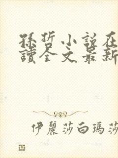 孙哲小说在线阅读全文最新