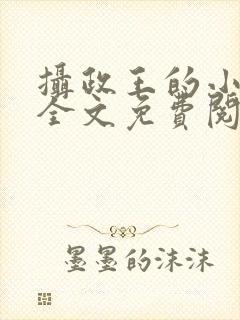 摄政王的小王妃全文免费阅读