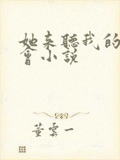 她来听我的演唱会小说