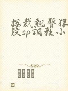 总裁翘臀狠揍屁股sp调教小说