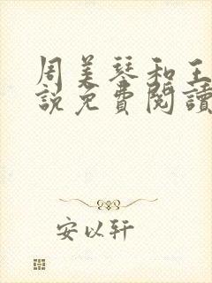 周美琴和王宇小说免费阅读封面