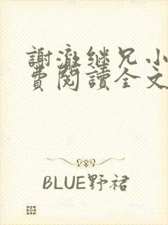 谢澈继兄小说免费阅读全文无弹窗