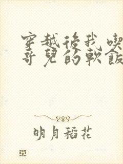 穿越后我吃到了哥儿的软饭炉山灰