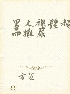 男人裸体超清正面撒尿