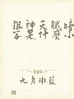 狙神天赋暗影刺客是什么小说封面