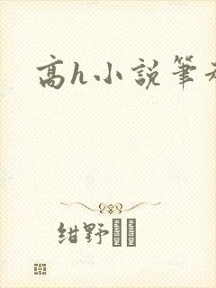 高h小说笔趣阁