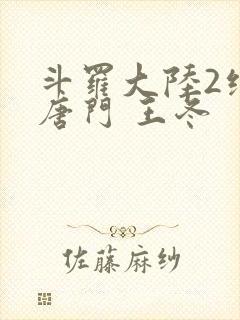 斗罗大陆2绝世唐门 王冬封面