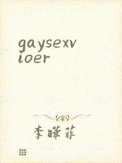 gaysexvioer封面