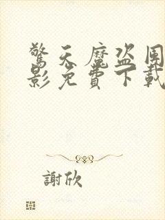 惊天魔盗团2电影免费下载